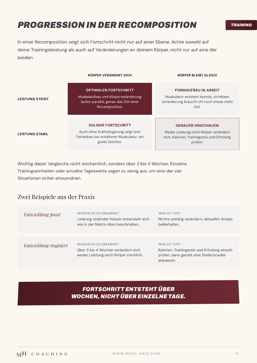 Progression in der Recomposition, Seite 15 aus dem Workbook Body Recomposition
