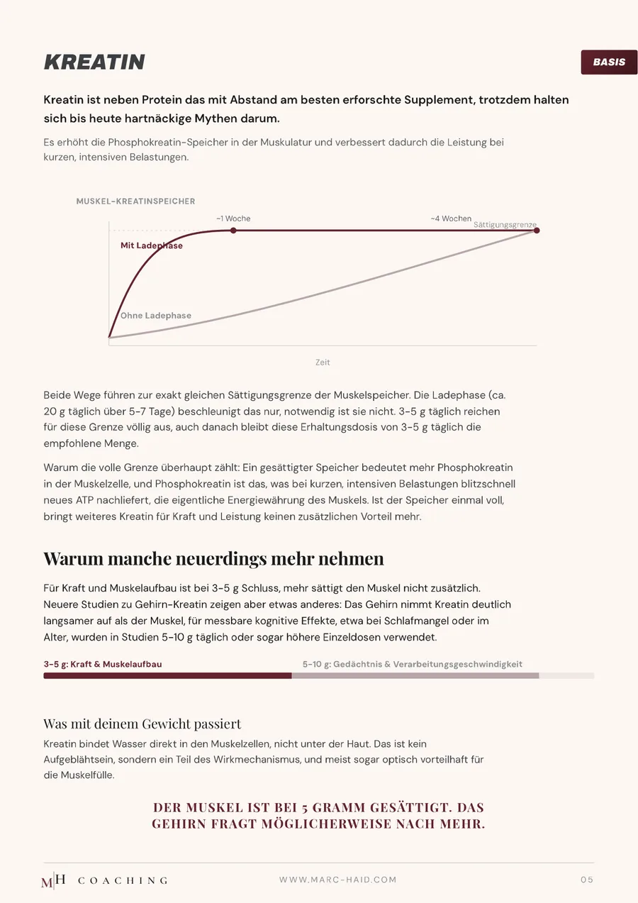 Kreatin, Seite 5 aus dem Workbook Supplemente